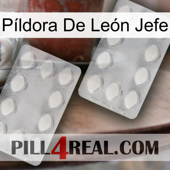 Píldora De León Jefe 17.jpg